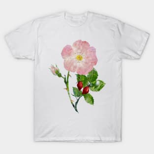 Dog rose, T-Shirt